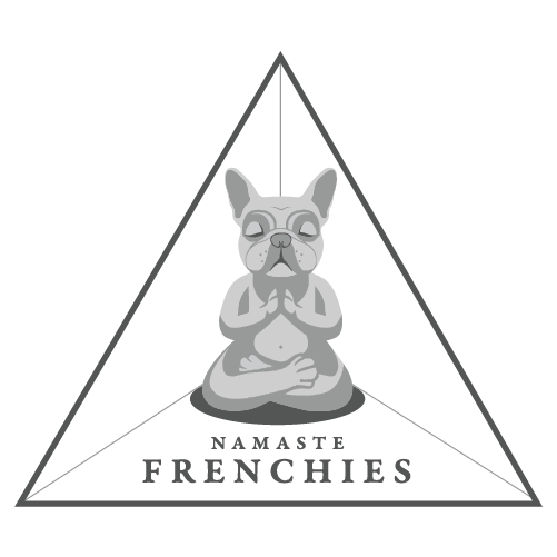 NF_logo_Triangle_TransparentBG